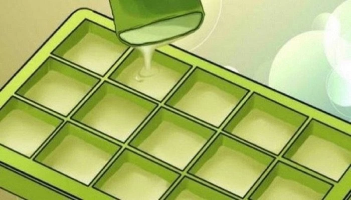 Βάζει την αλόη στην παγοθήκη και το αποτέλεσμα είναι απλά… μαγικό!